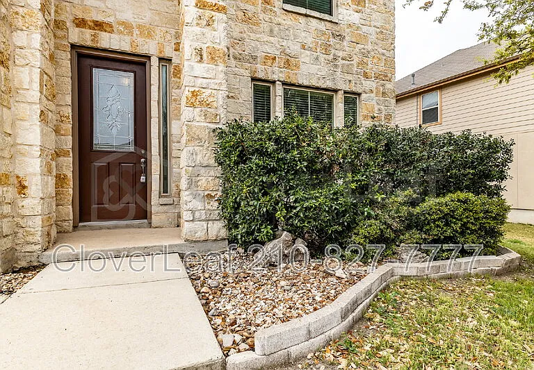 3734 Ox Eye Daisy — Photo 4