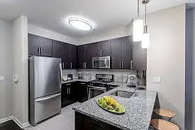 1 bed, 1.0 bath, $3,780 — Photo 2