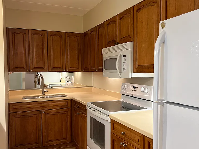 Kitchen has lots of counter space & light