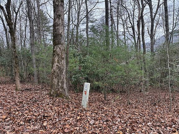 4th image of 19 Ideal Acres Rd