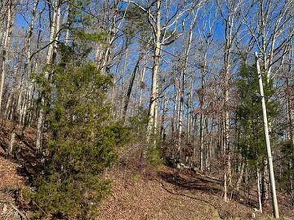 3 Lower River Rd NW Lot 3, Charleston, TN 37310