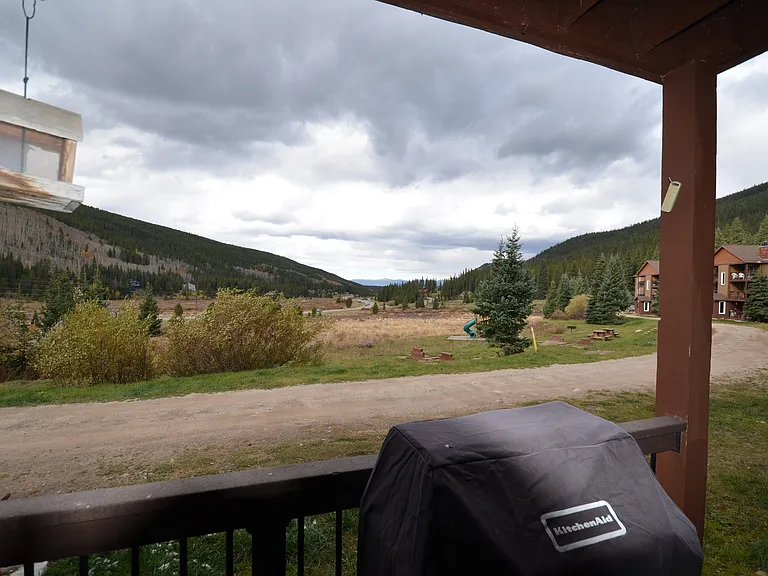 27 Peaks View Ct #114 — Photo 23