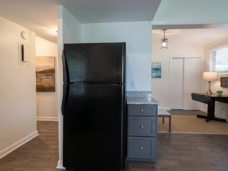 1003 Broad River Dr — Photo 11
