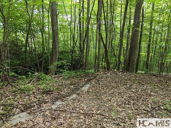 5th image of 0 Buck Knob Road