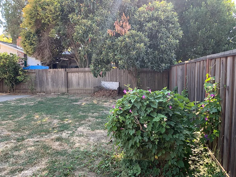 2823 Cascade Pl — Photo 24