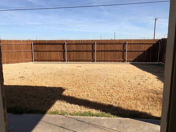 Back yard 