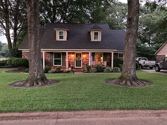 Beautiful palisades zoysia!