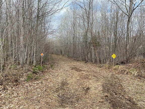 5th image of ON Wilson Lake Road