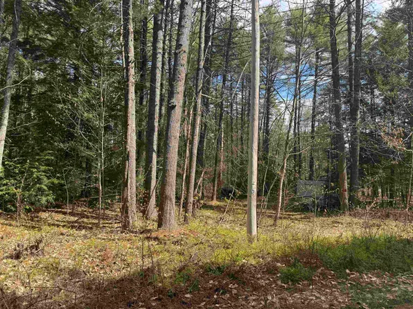 0 Riverwood Circle #12, Effingham, NH 03882