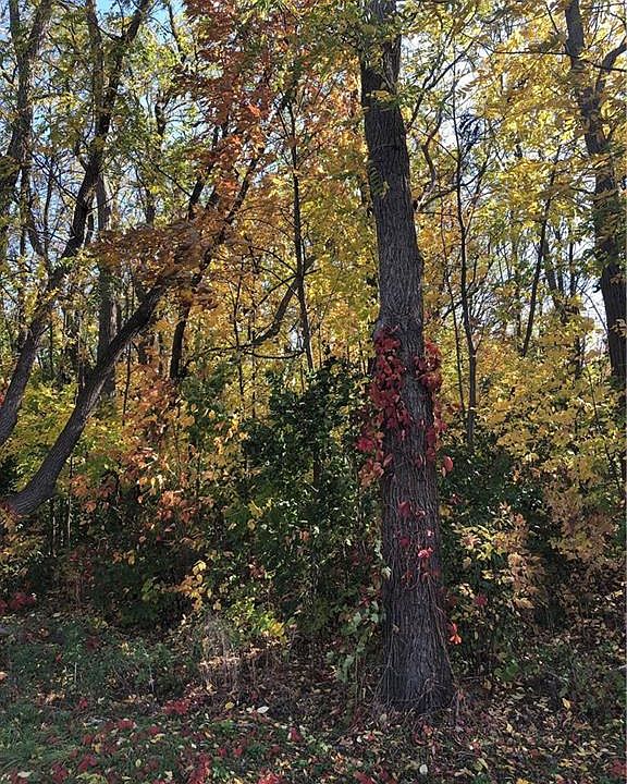 1st image of 4883 County Road 11