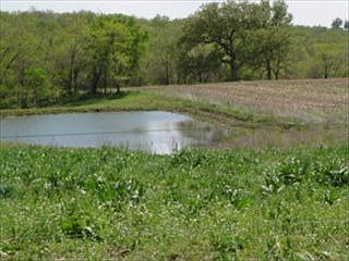 2nd image of 20000 County Road 214