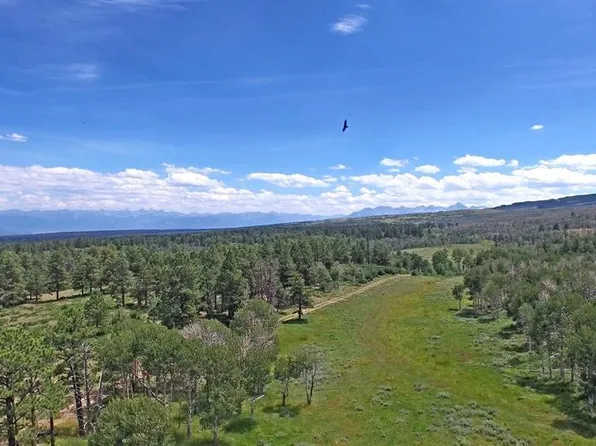 TBD Government Springs Road, Ouray, CO 81403