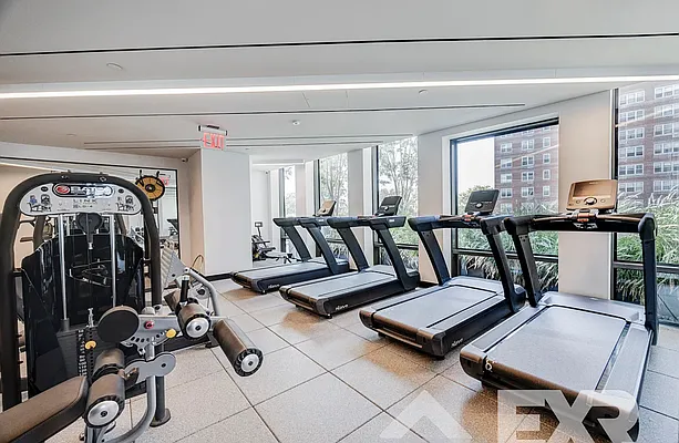 Rented by EXR | media 38