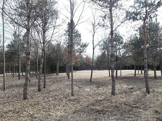2nd image of 3111 Cobb Ln