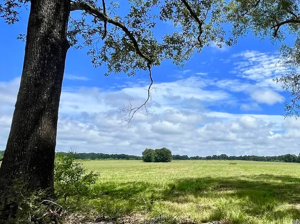 4 Hokaday Rd, Slaughter, LA 70777