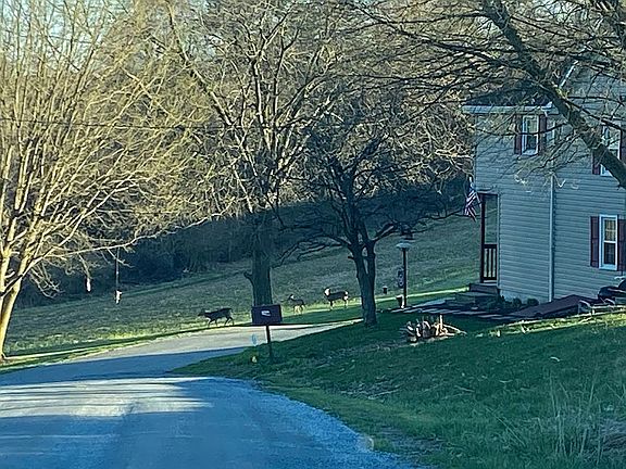 4th image of 14174 Wolf Rd