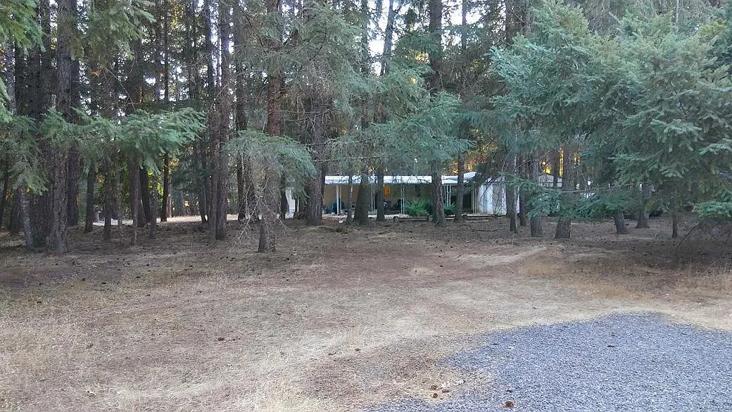 625 Williamson Loop photo 1