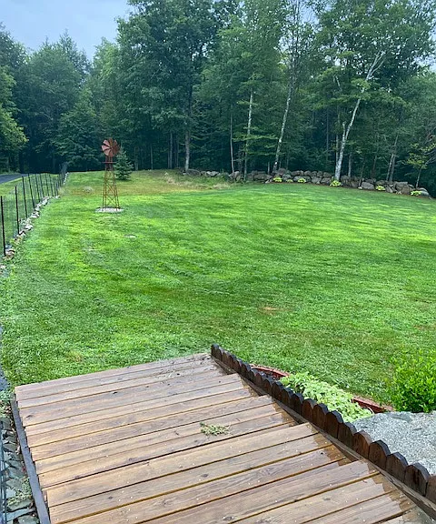 Photo of front yard as seen from patio area on top of staircase.