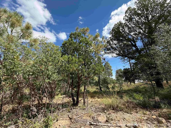 0 Coshacion Dr, Timberon, NM 88350