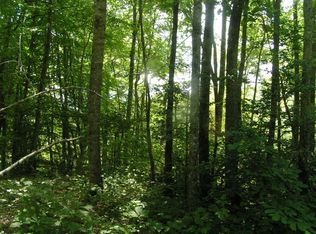 516 Tomahawk Trl, Whittier, NC 28789