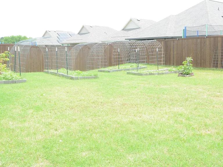 11612 E Silver Queen Dr — Photo 16