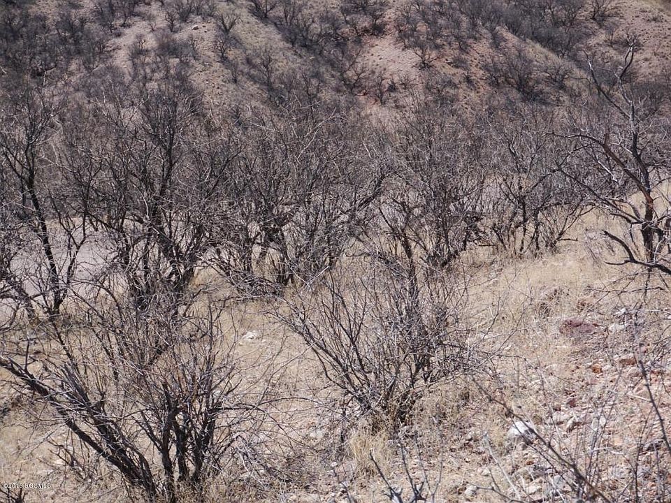2nd image of 442 Camino Hombre De Oro