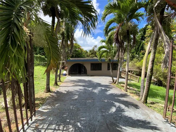 Calle 7 #229, Luquillo, PR 00773