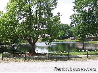 4th image of 12312 Forest Lane Dr