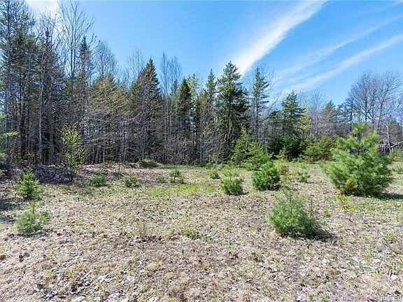 2nd image of 2 Niagara Rd Lot 14