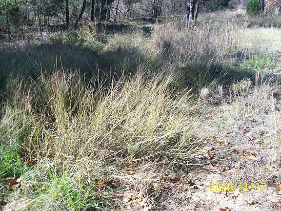 Exterior Neighborhood (street photo)