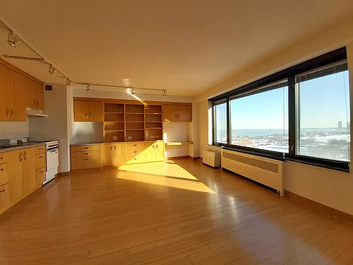 3100 N Lake Shore Dr #1906 Photo 1