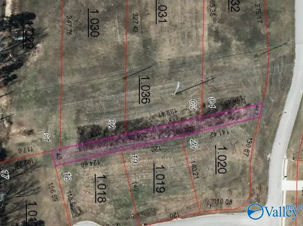 Legacy Cir, Arab, AL 35016