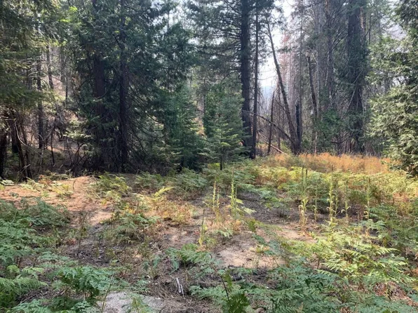 E County Line Rd, Lewiston, CA 96052