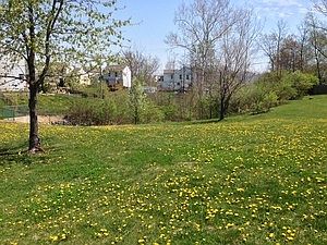 4th image of 2066 Brookbank Dr