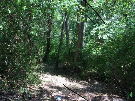 5th image of Cove Cir