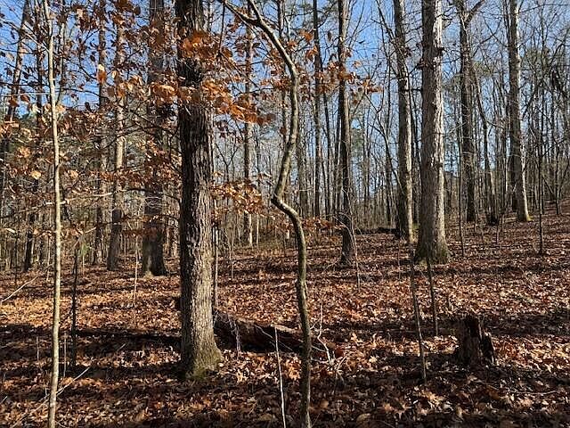 1st image of 6 County Road 751 Lot 6