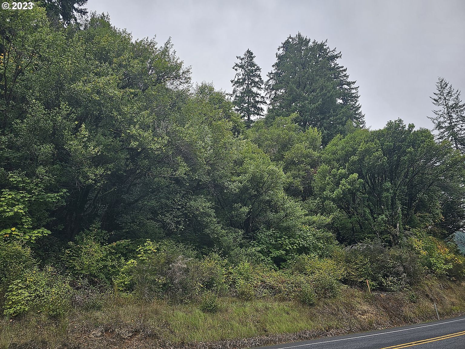0 State Highway 38, Scottsburg, OR 97473 MLS 23312477 Zillow