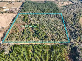 30772 Smyrna Rd, Florala, AL 36442