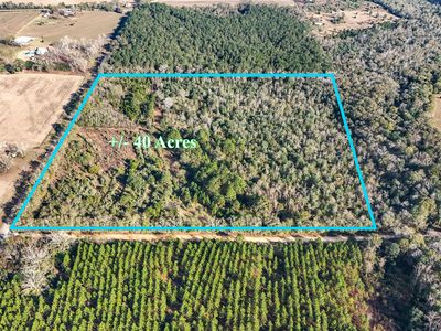 30772 Smyrna Rd, Florala, AL, 36442