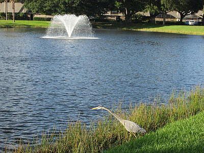 Lake Near community entrance