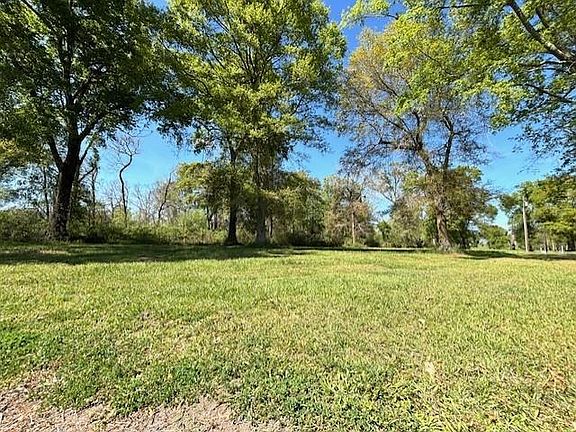 3rd image of 35158 Rena Melancon Rd