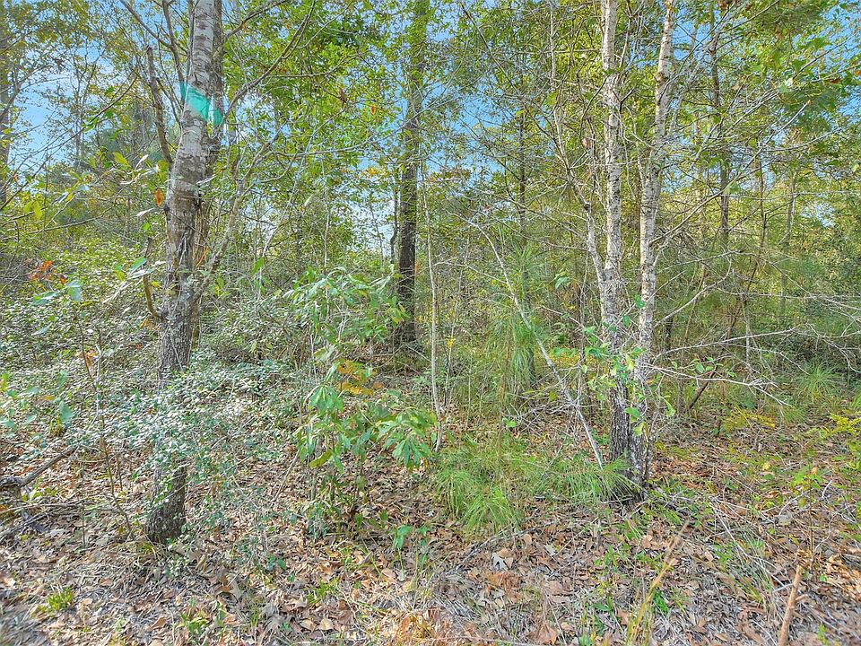 2nd image of 100 Virginia Creek Dr