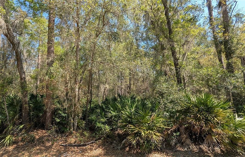 1st image of TBD NE COUNTY ROAD 234 LOT 44