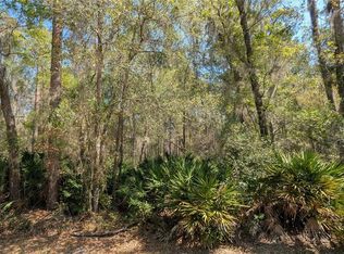 NE County Road 234 Lot 44, Gainesville, FL 32641