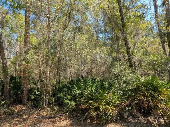NE County Road 234 Lot 44, Gainesville, FL 32641