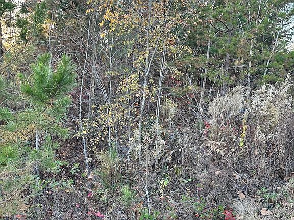 3rd image of 931 Eagle Nest Dr Lot 227