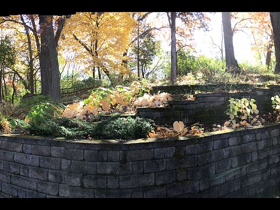 Backyard Landscaping