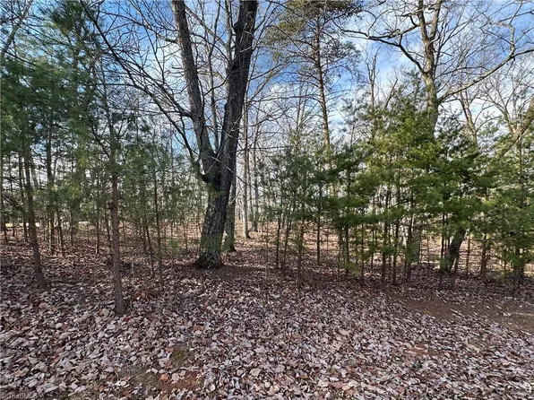 1141 Sierra Trace Rd, Denton, NC 27239