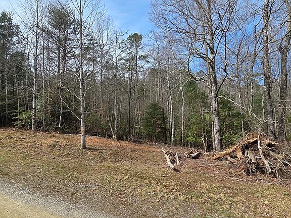 5th image of 24 Pine Log Cir
