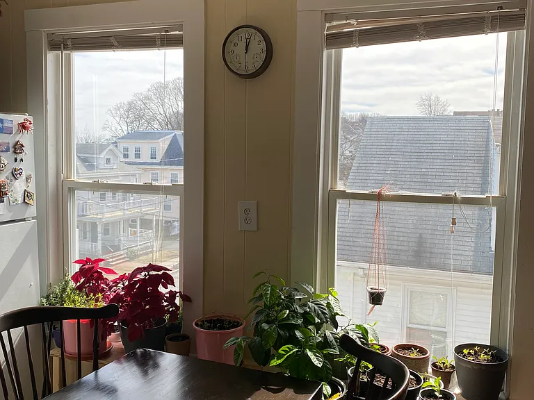 258 Belmont St #T — Photo 4